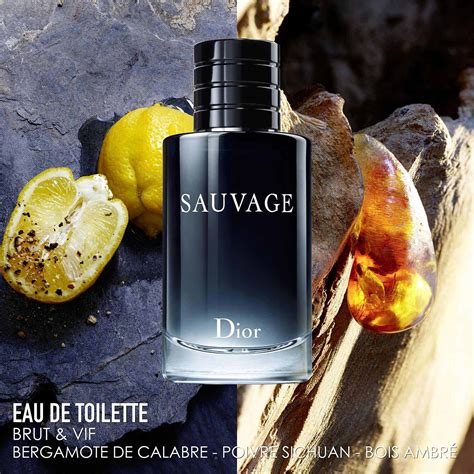 dior - sauvage eau de toilette edts|Dior eau sauvage edt review.